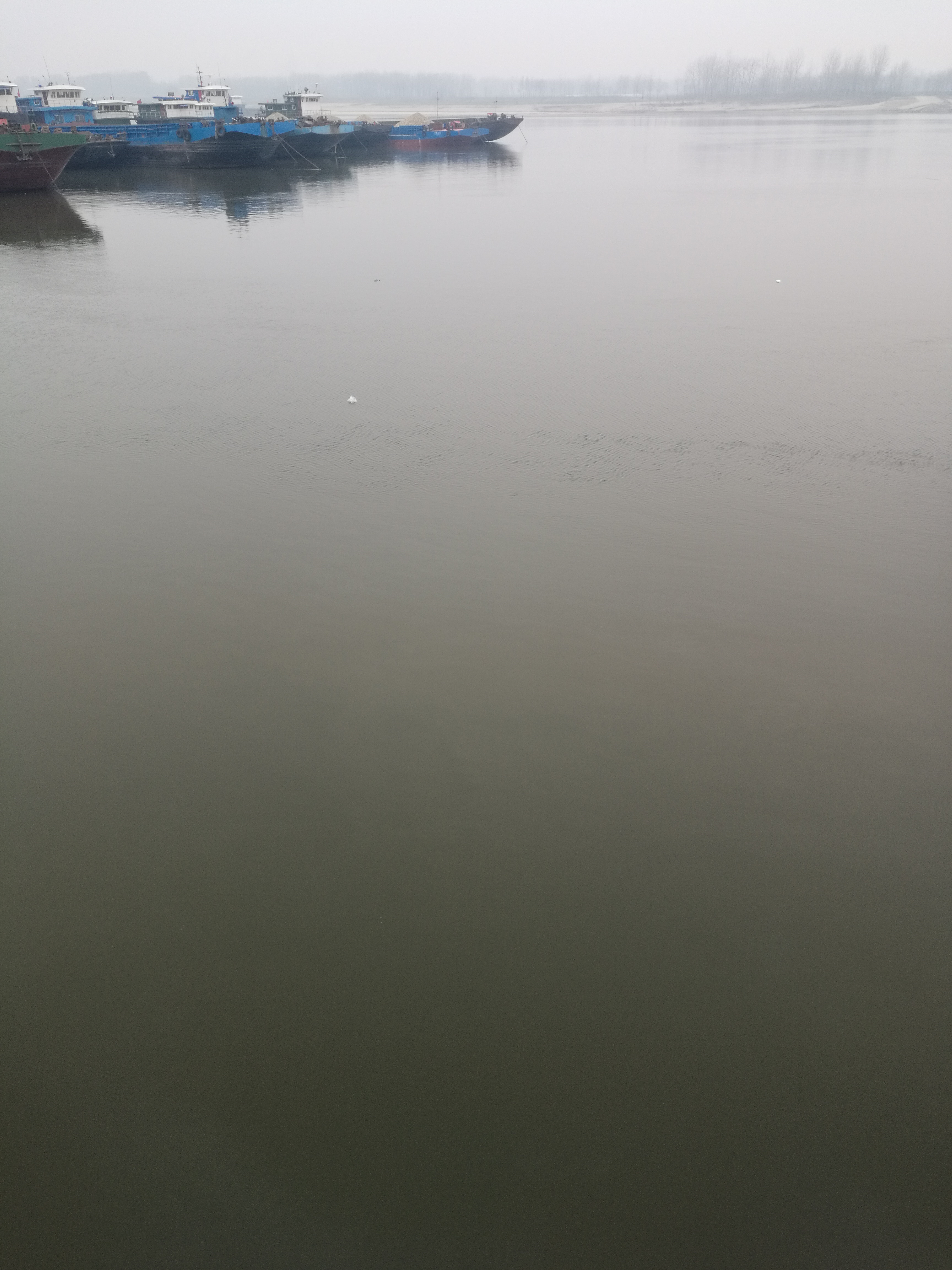 钟祥段汉江水,肉眼看去很浑浊,有点泛红的样子